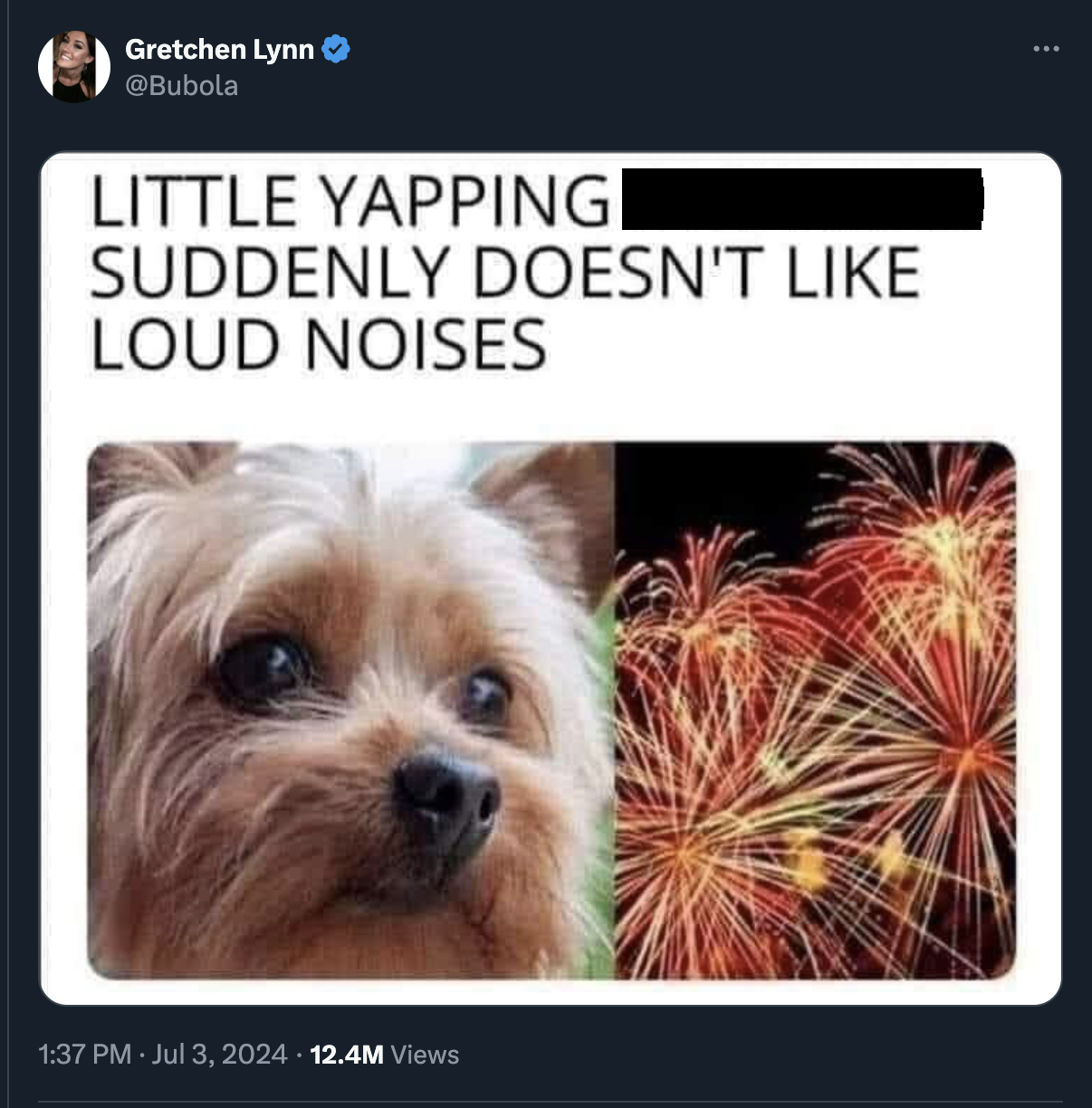 yappy little dog fireworks - Gretchen Lynn Little Yappingi Suddenly Doesn'T Loud Noises 12.4M Views